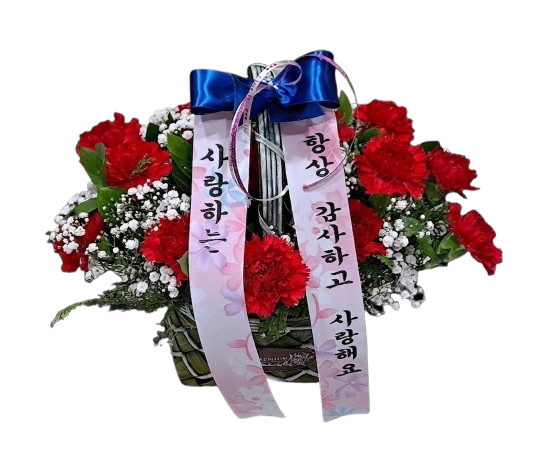 카네이션 바구니